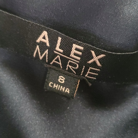 New Women's Alex Marie Luxury Dress Size 8 - Picture 8 of 8